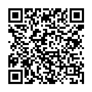 这老兄弟立即就说了一大堆郑纱织没做好的工作出来二维码生成