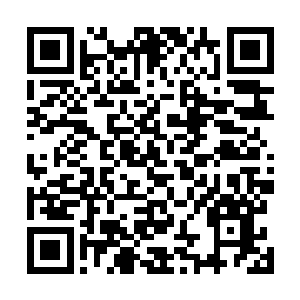 这老匹夫绝对想不到我的血脉之力有着吞噬与同化的能力二维码生成