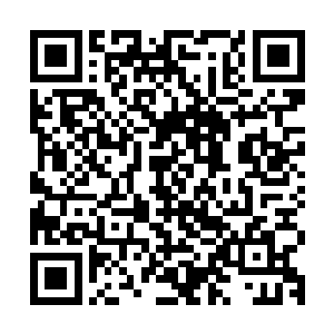 这老头左手按在一头体型要比普通成年犍牛大上一圈的大牛背上二维码生成
