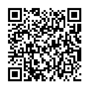 这老头的组织竟然具有指挥符蚁监视人的神奇秘术二维码生成