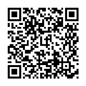 这耳坠看起来在一堆珠光宝气的首饰中毫不起眼二维码生成