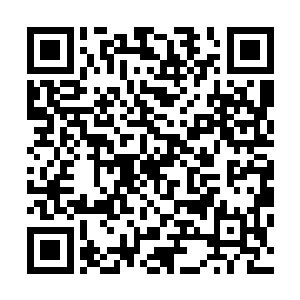 这股力量就涌入到韩风身躯内的各个器官经脉骨骼细胞……二维码生成