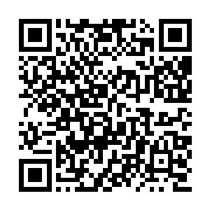 这股力量恰到好处的照顾了我爸顾及不到的边角二维码生成