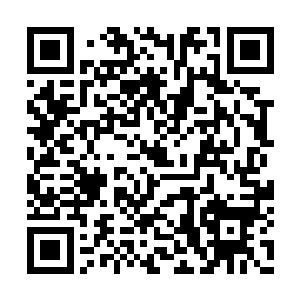 这股吸力让韩风连反抗之力也没有就被吸了过去二维码生成