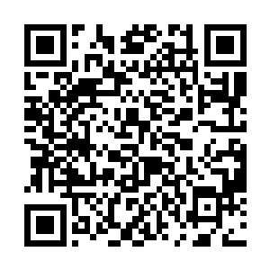 这股味道汇聚起来就形成了一道极其强悍的抗拒力量二维码生成