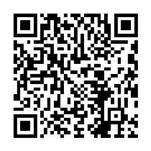 这股味道让得秦宇都情不自禁的想要将头给伸入黑鼎当中二维码生成