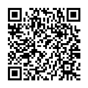 这股威压竟然给堪比元婴中期精神力的许紫烟一种滞重的感觉二维码生成