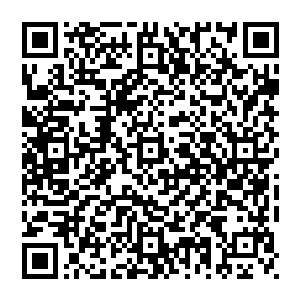 这股气势隐隐间已经超越了圣王九重天的境界迈入了更高一层境界那庞大的气势中竟然还带着几分浩瀚磅礴的威势二维码生成