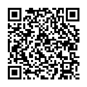 这股气息赫然跟前世的时候死在自己手中的袁洪的气息一模一样二维码生成