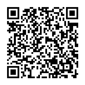 这股浩瀚磅礴的青松之力镇压着整个血海那道通天彻地的镇压感看得我心惊肉跳二维码生成