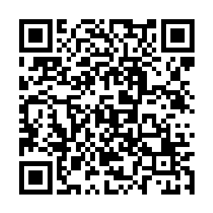 这股神性力量恰好可以伤它那号称不死不灭的本源二维码生成