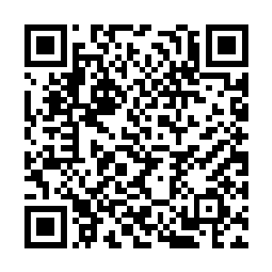 这股能量余波乃是圣皇强者之间的大战爆发出来的二维码生成