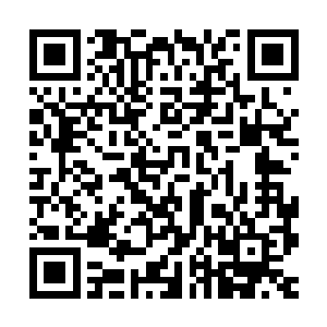 这股能量直接屏蔽了魂劫之境对皇宫所有物质世界的镜像的形成二维码生成