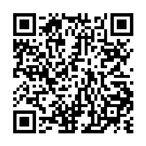 这肯定就是守护灵所说的不周山之神力带来的变化二维码生成