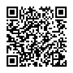 这肯定是安排了大将军那场袭击的幕后黑手一齐安排的二维码生成