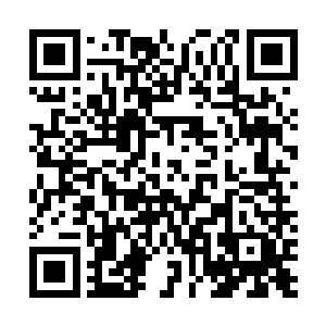 这胖子说话的时候眼睛居然朝刚走不久的陶美佳身上飘去二维码生成