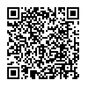 这脾气又臭又硬好像粪坑石头一样的君无极会不会乖乖的跟季疏云回去二维码生成