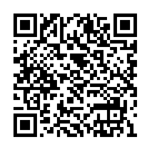 这自治议会表面上是把埃温达拉群岛团结起来了二维码生成