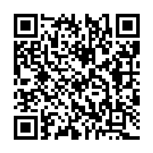 这自然是昨晚从树林里走过来过夜的杨辰与林若溪二维码生成