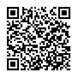 这般决绝的做法换个宗门的修士真不见得做得出来二维码生成