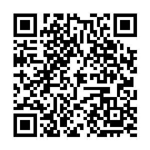 这般肆无忌惮地调戏我的宠物……是不是有些过分了二维码生成