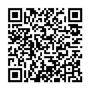 这艘船与之前贩卖冷小野的组织之间有某种联系二维码生成