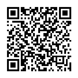 这艘船的大小在方运的感知中已经超越了一片星系二维码生成