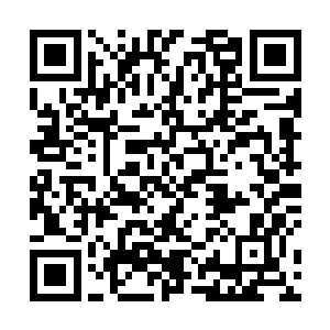 这艘零号舰等于是取得了遗忘之地在青脉内部的杀手锏二维码生成