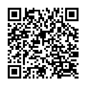 这艘风雨狱的星舰并不是由金丹级悍匪风雨重亲自坐镇二维码生成