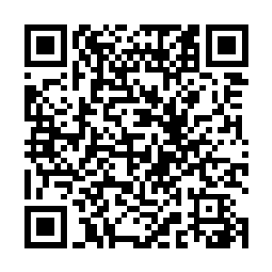 这节目都是在香港各大黄金电视台的黄金时间段播出的二维码生成