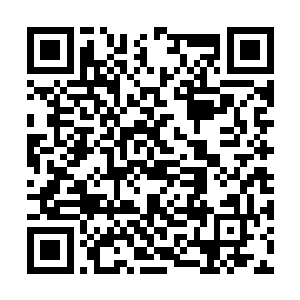 这苏雪平时遇到事情不都是第一个冲在最前面的吗二维码生成