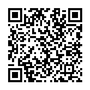 这若是放在修武界内都是能够成为一方势力的霸主存在二维码生成