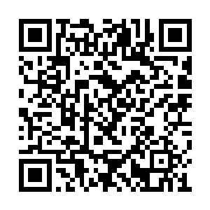 这荆棘项链不愧是教廷神器荆棘套装的配件之一二维码生成