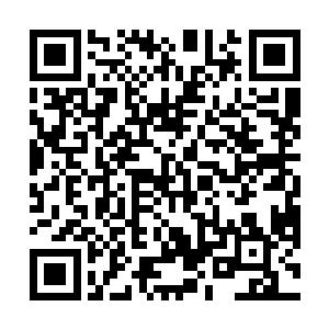 这药效估计只需一株便能救回好几条只剩半口气的命来二维码生成