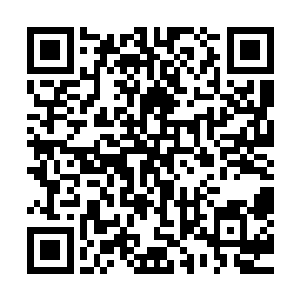 这虚空之中的血色的虚影赫然是一个恐怖的巨大的跳动的心脏二维码生成