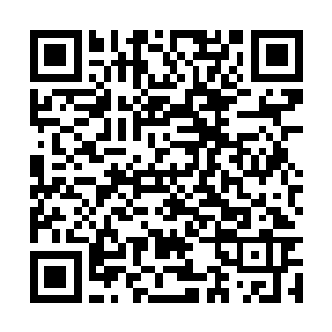 这血狼实力应该达到了炼化十三枚本命晶核的程度二维码生成