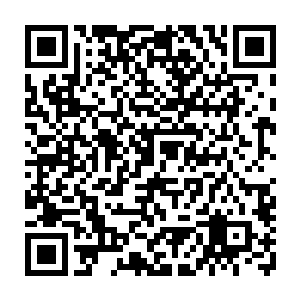 这被舞蹈而锻炼得紧致细腻的肌肤与那放松的骨骼让张东城享尽了艳福……二维码生成