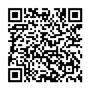 这西门剑心可是西门世家之中最年轻有为的青年二维码生成