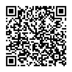 这要是在炼药之术上还有如此妖孽的表现……那就实在是太打击人了二维码生成