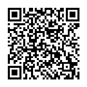 这要是被天道知道了……流年很是苦恼的看着玲珑等人二维码生成