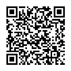 这要让他家那只大牲口看见了还不知得妒忌成什么样二维码生成