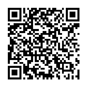 这让一直对自己的毒术引以为傲的蓝芙蓉有些不舒服二维码生成