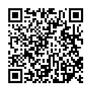 这让不远处坐在汽车里的蒋海洋和罗东秋很是不满二维码生成