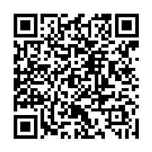 这让他以为自己能追求到花悠悠的成功率增加至少一半二维码生成