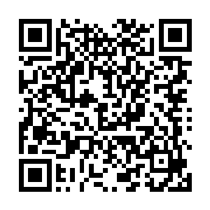 这让他们不得不硬着头皮冒着被苏落嘲笑的风险过来买二维码生成
