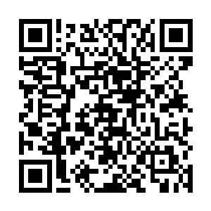 这让他们愈发疑惑于双红需要的身体到底是什么的同时二维码生成