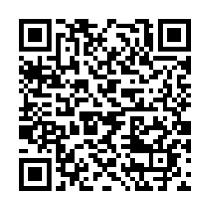 这让他们都是真真的感受到了这株小草的逆天之处二维码生成