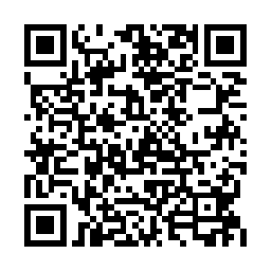 这让他断定此丹不仅在治疗元神创伤上拥有奇效二维码生成