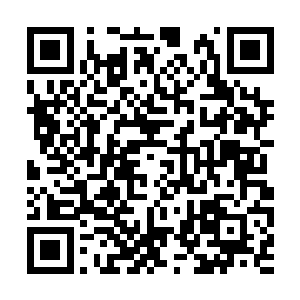 这让他有点回到未进化之前的那副异兽躯体的模样二维码生成