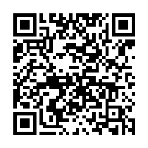 这让南方群域诸天才都束手无策的难题就这样被他解决二维码生成